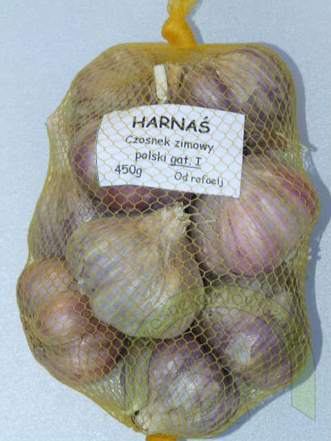 Czosnek Zimowy Duży 450 gram Czosnek Zimowy Duży 450 gram